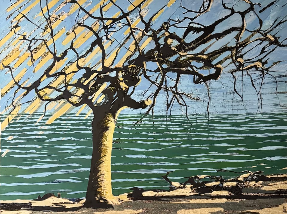 Landscape
